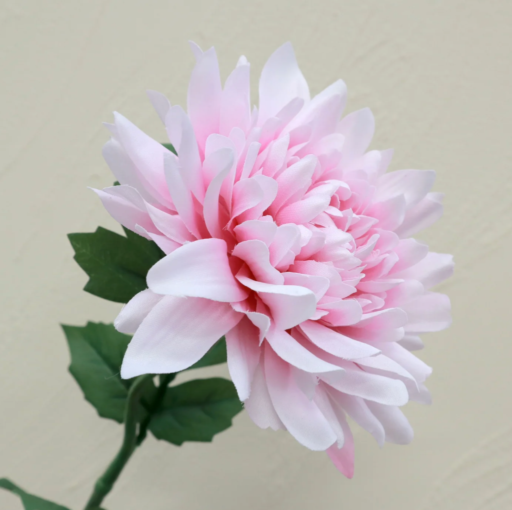 Artificial Real Touch Wild Dahlia  - Baby Pink