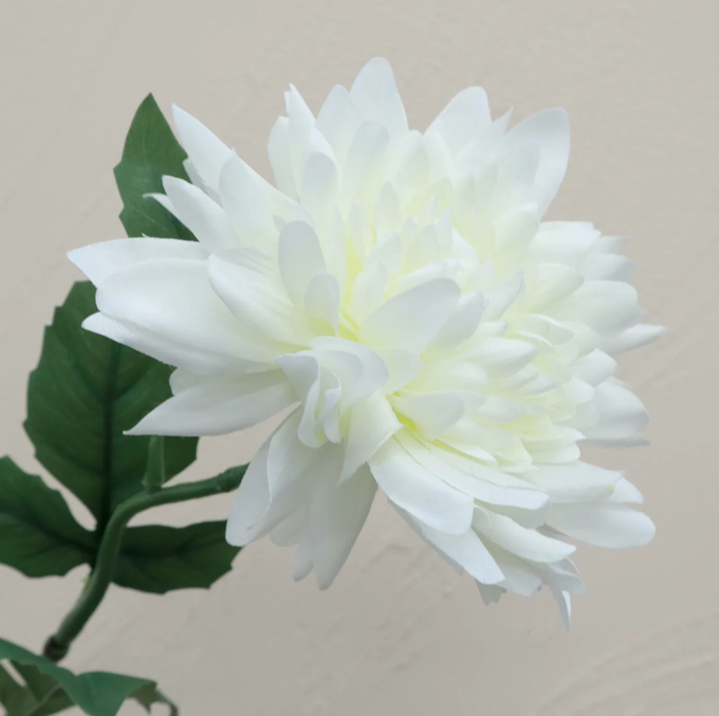 Artificial Real Touch Wild Dahlia  - White