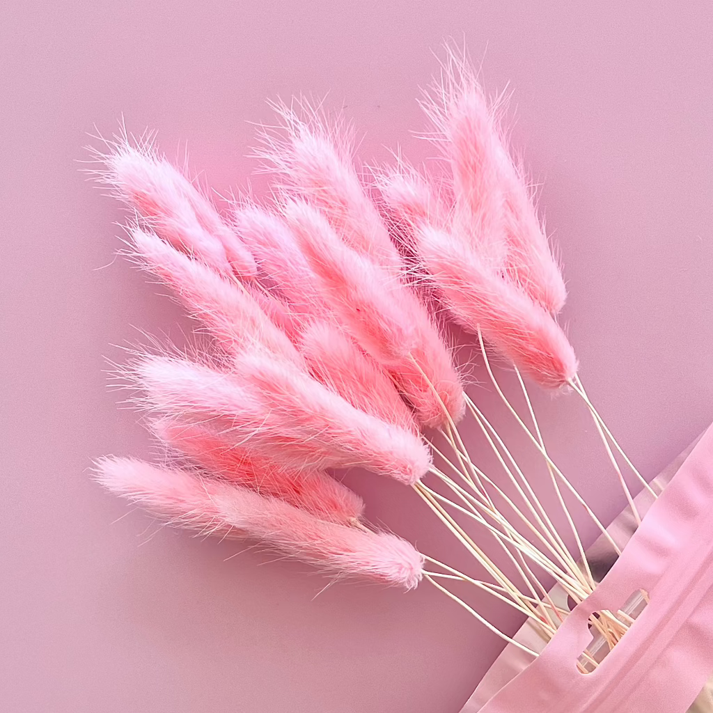 Dried Natural Bunny Tails Cupcake Toppers Pink